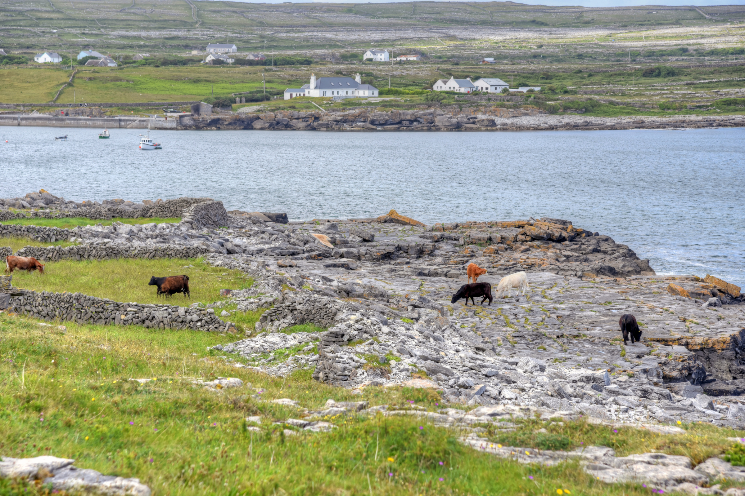 kilronan, aran islands (3).webp